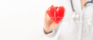 The Torso of a Doctor in a White Lab Coat with a Stethoscope Around their Neck Holding a Plastic Red Heart with EKG Lines