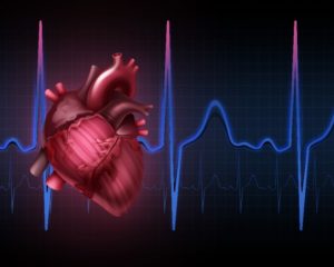 An Illustration of a Heart in Front of an ECG Heartbeat Graph in Blue and Purple Colors
