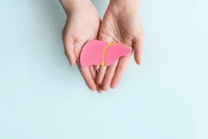 Conceptual Image of Two Hands on a Light Blue Background Holding a One-Dimensional Model of a Liver